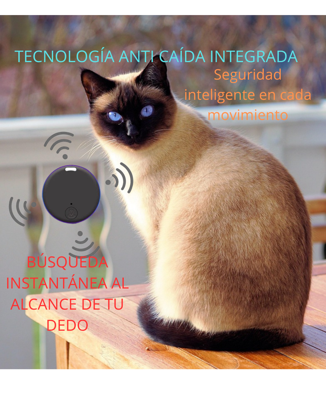 TrackyGo